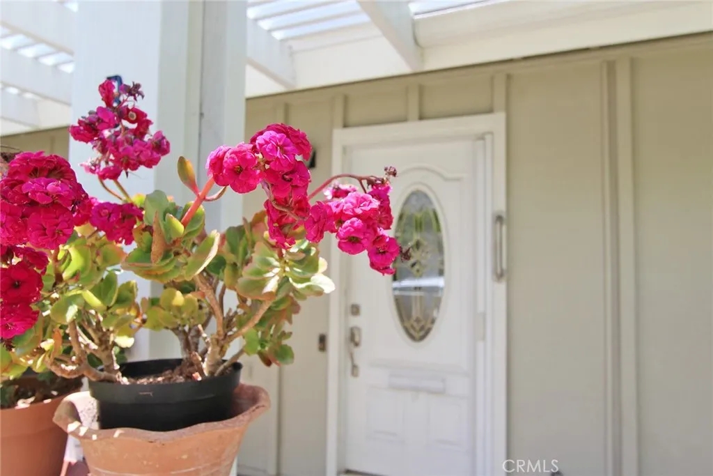 Front Patio Entry Door