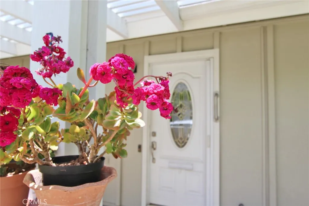 Front Patio Entry Door