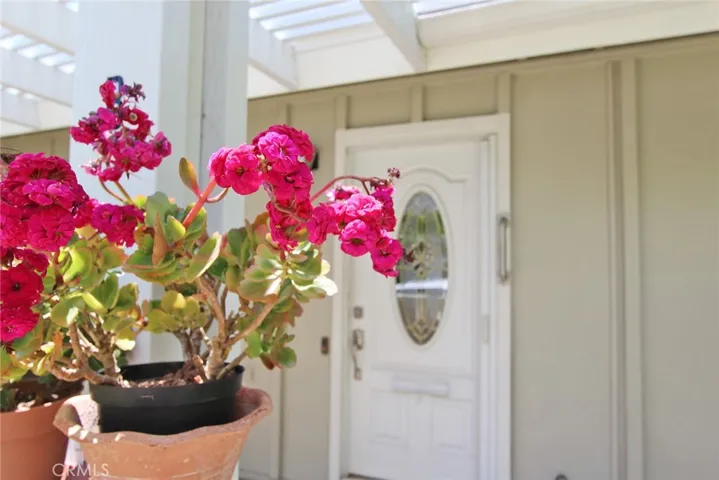 Front Patio Entry Door