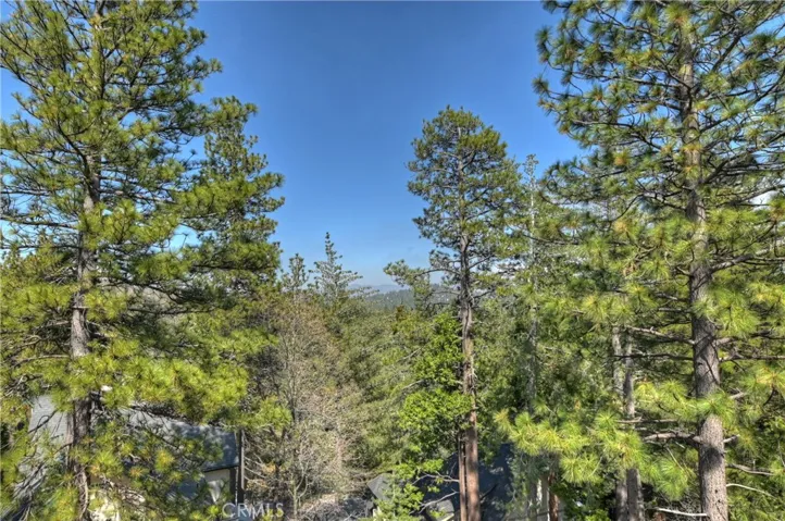 Backyard view from the deck