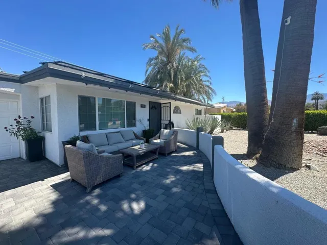 Palm Trees