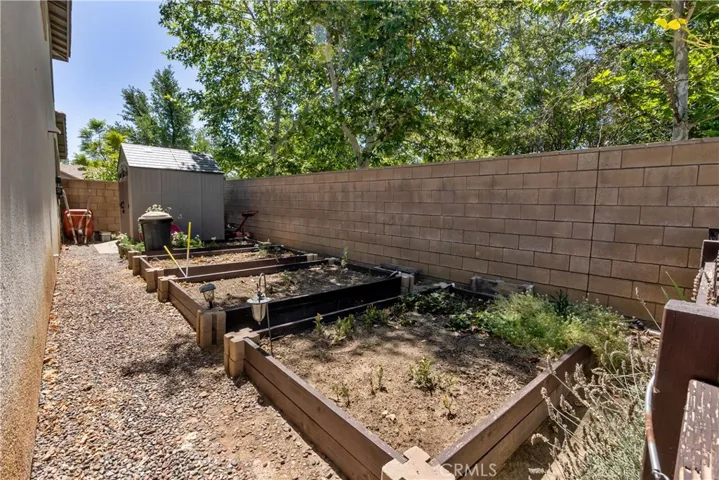 backyard garden area
