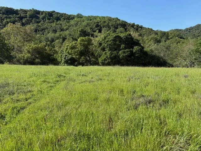 0 Cinnabar Hills Road, San Jose, California 95120 — photo 4