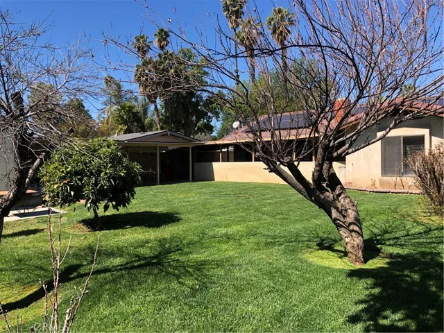 Back yard