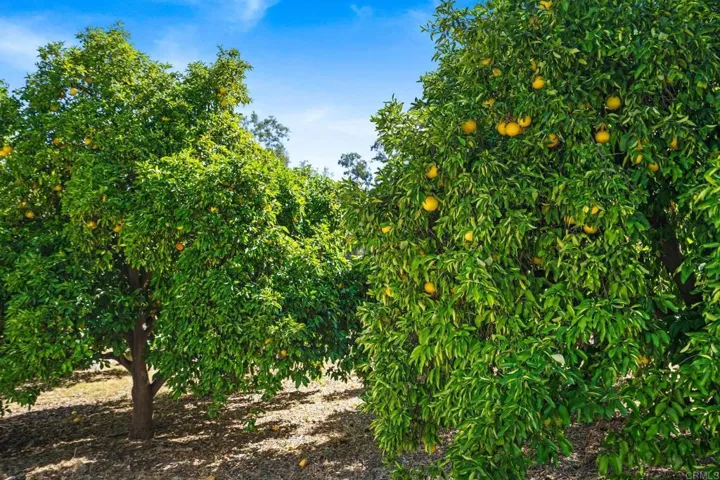 13511 Hilldale Road, Valley Center, California 92082
