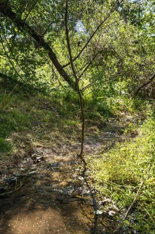 13511 Hilldale Road, Valley Center, California 92082