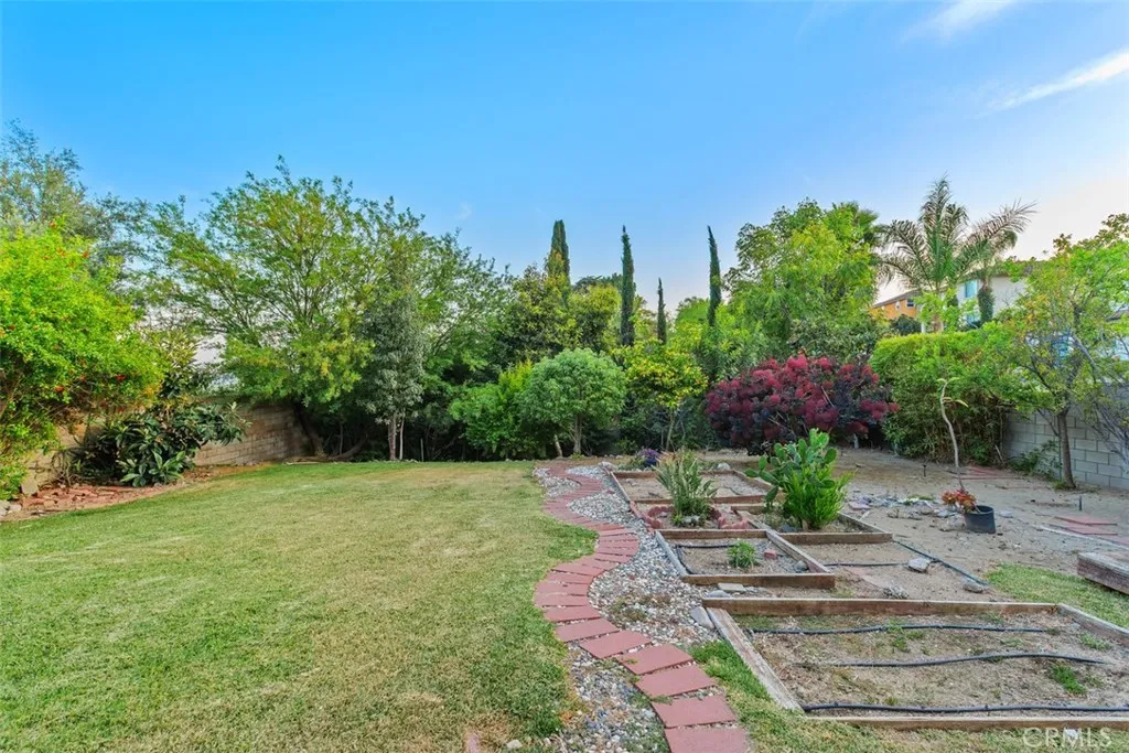 Large backyard