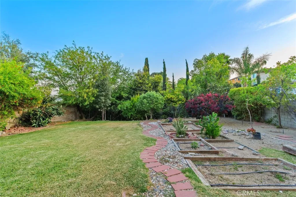 Large backyard