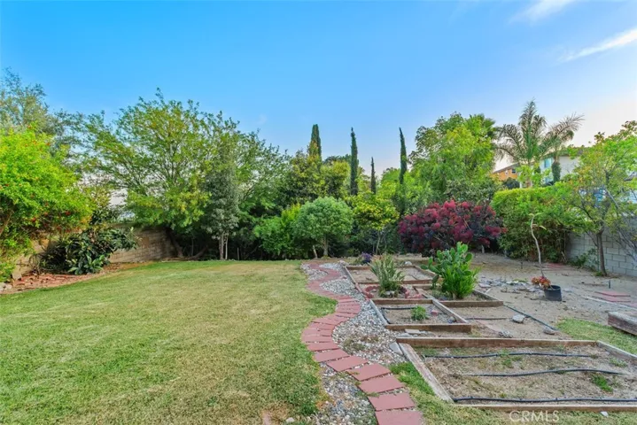Large backyard