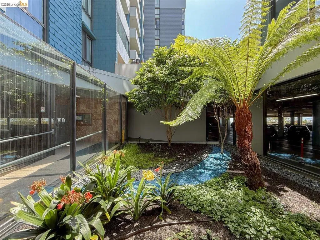 Lush courtyard garden featuring a variety of mature plantings, decorative blue stones, and dark ground cover