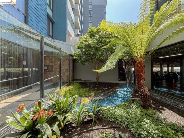 Lush courtyard garden featuring a variety of mature plantings, decorative blue stones, and dark ground cover