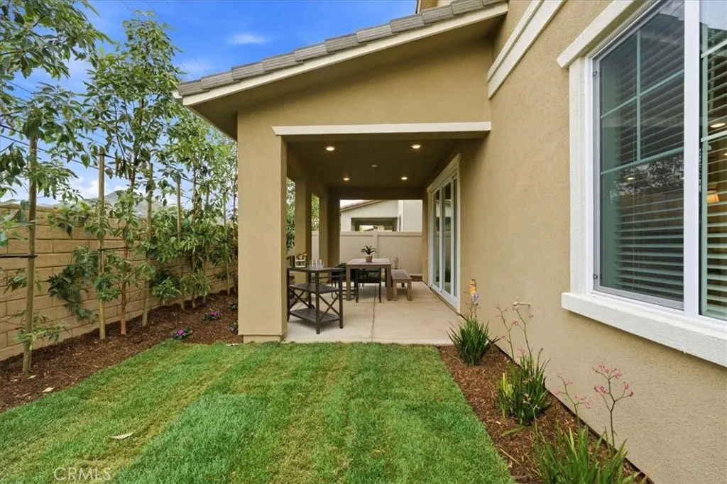 Fully Landscaped Adult sized trees