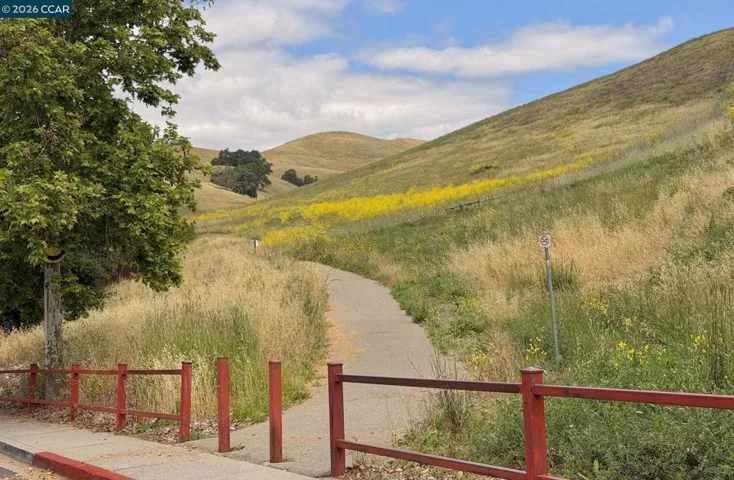 85 Trish Ct, Danville, California 94506