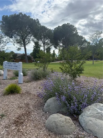 Evanstar Park has large grasses areas perfect to kick around a soccer ball, play Frisbee or fetch with your dog