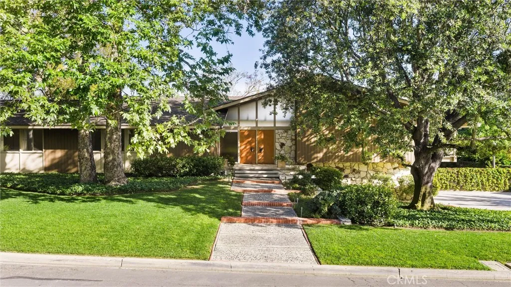 Mid Century Modern Beauty