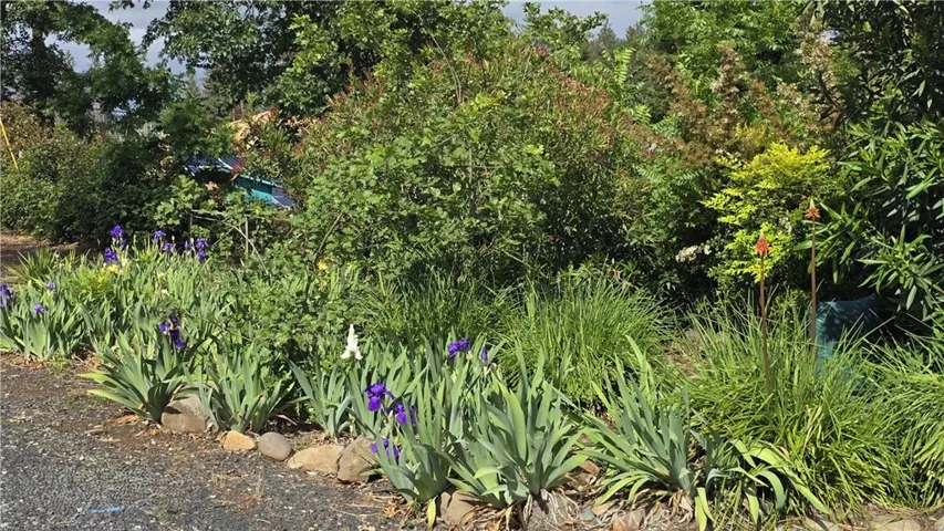 Front Roadside landscaping