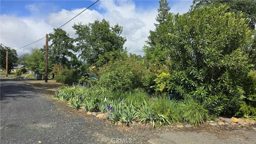 Beautiful Landscaping in Front