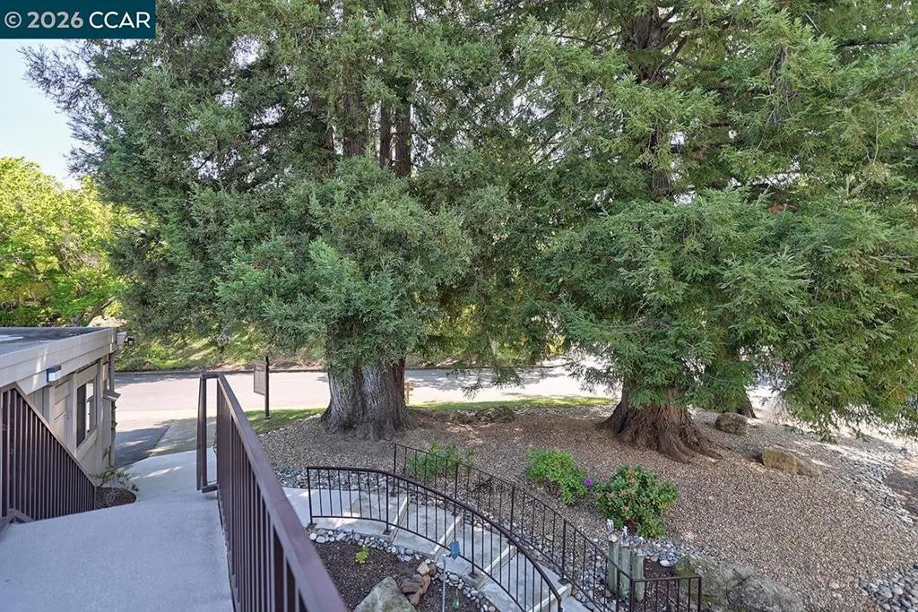 2175 Cactus Ct 1, Walnut Creek, California 94595 — photo 4