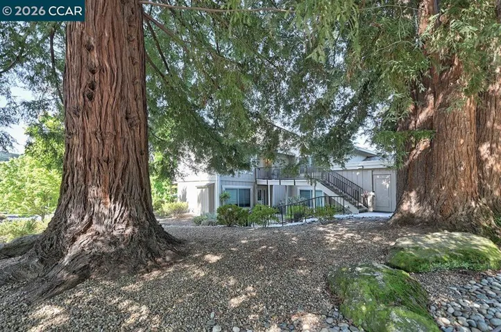 2175 Cactus Ct 1, Walnut Creek, California 94595