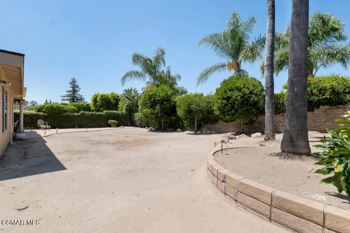 Backyard View
