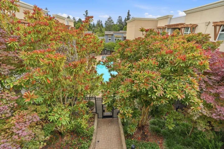 4388 El Camino Real 309, Los Altos, California 94022