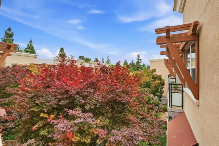 4388 El Camino Real 309, Los Altos, California 94022