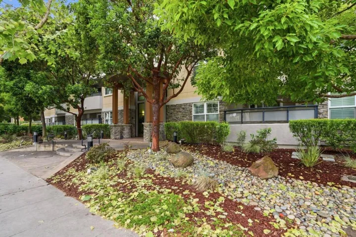 4388 El Camino Real 309, Los Altos, California 94022