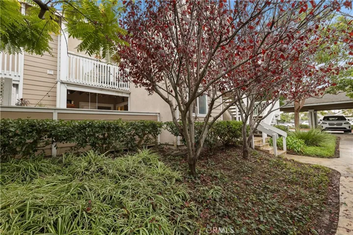 34032 Selva 96, Dana Point, California 92629