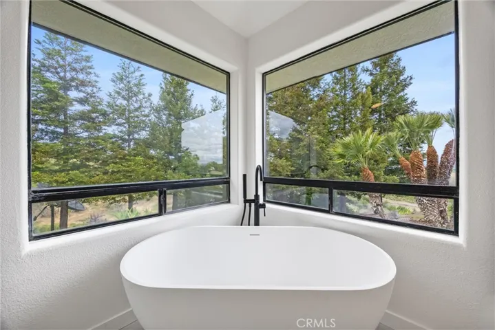 Primary soaking tub with a view