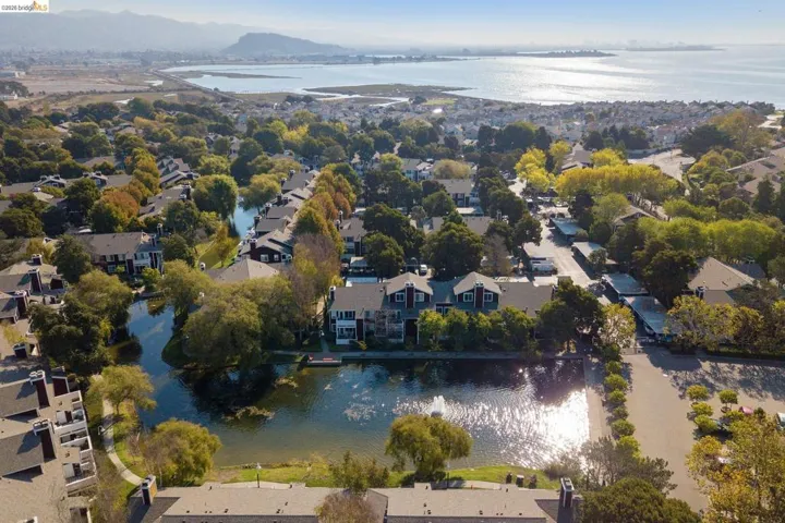 Aerial / Neighborhood