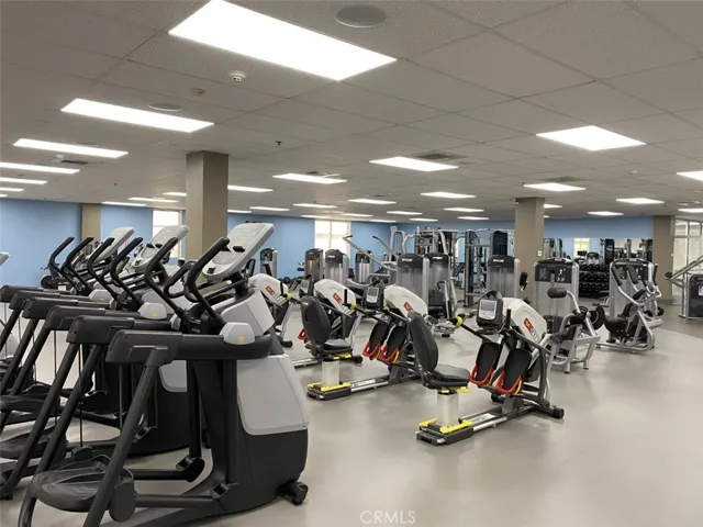 gym