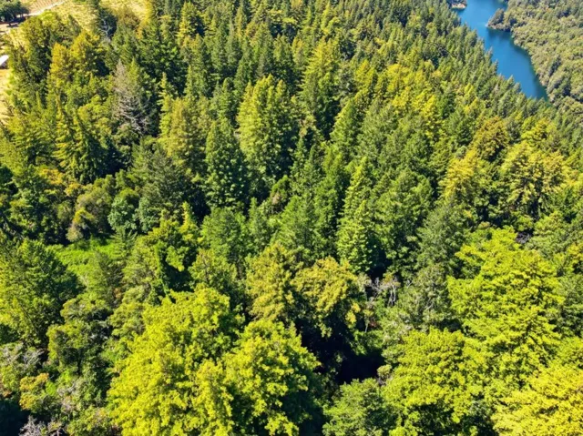 24580 Loma Prieta Avenue, Los Gatos, California 95033