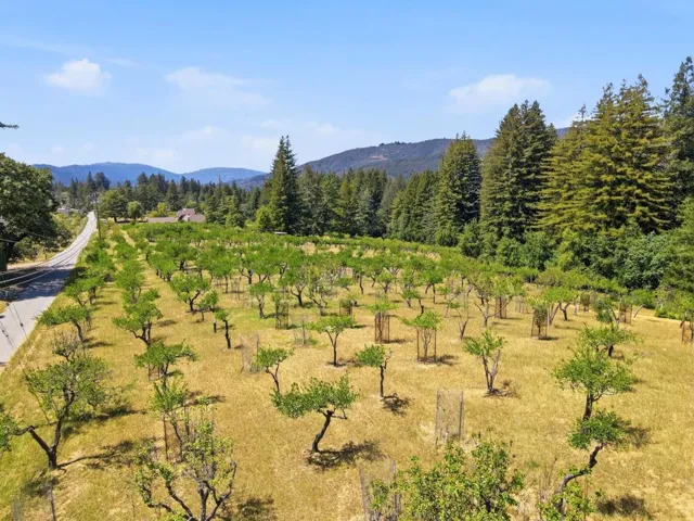 24580 Loma Prieta Avenue, Los Gatos, California 95033