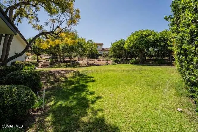3679 Paseo De Nublado
