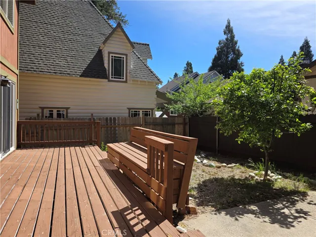 Back yard