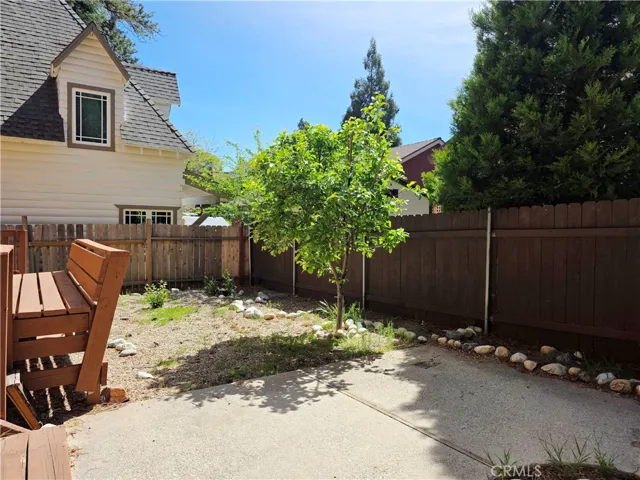 Back yard