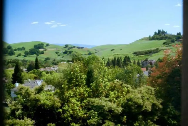54 Antelope Court, Danville, California 94506