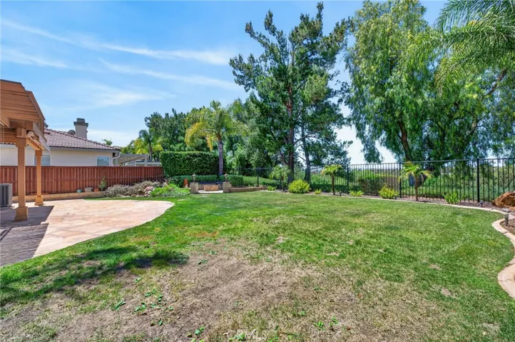 Large Backyard