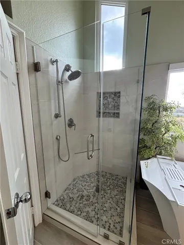 Primary Shower