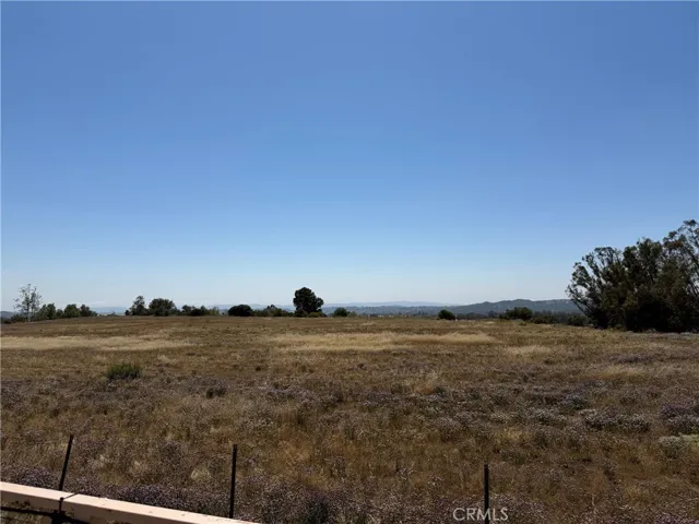 backyard view