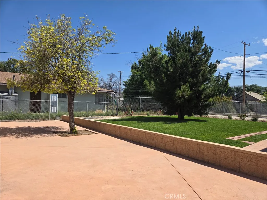 Backyard