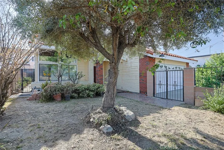 BIG FRONTYARD, WITH FRUIT TREES IN FENCE
