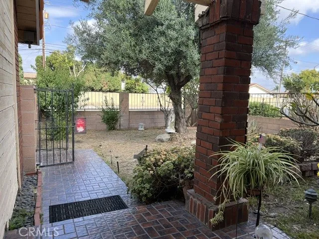 Big nice fruit trees, especially OLIVE ONE AT 
front yard