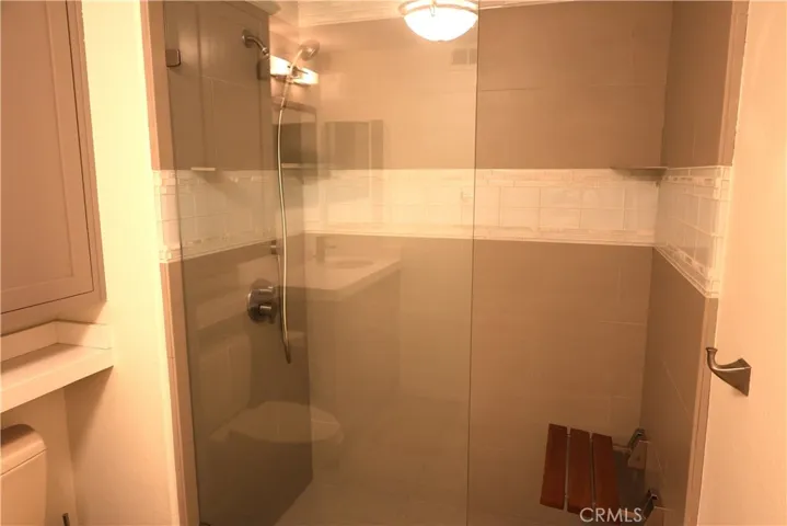 Secondary Walk in Shower