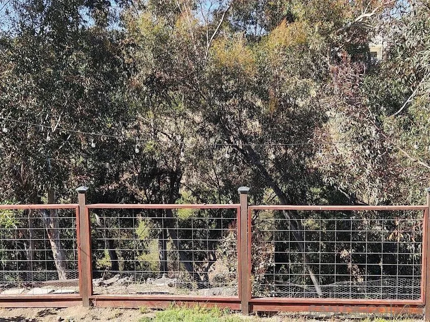 Manzanita Canyon as seen from the backyard.