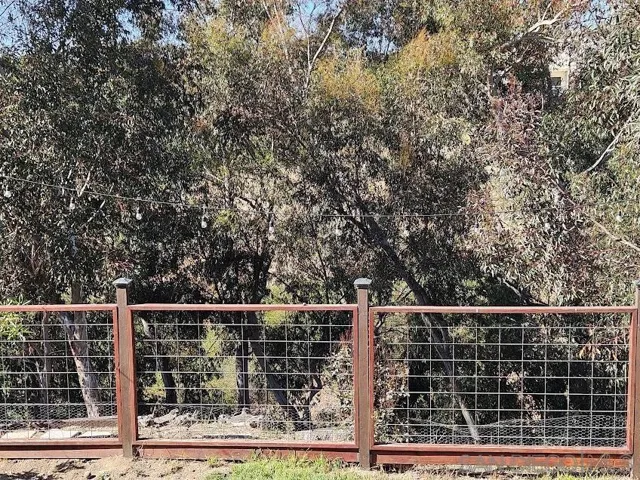Manzanita Canyon as seen from the backyard.
