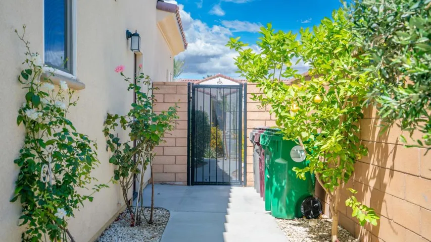Side Yard