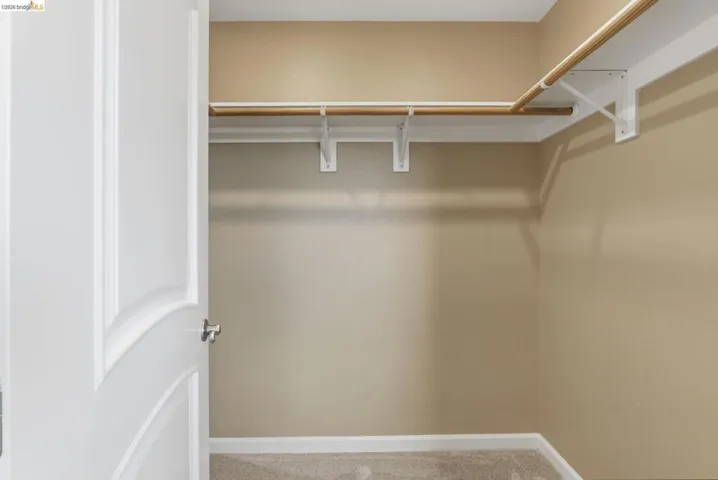 Spacious closet featuring a white paneled door, light tan walls, wood-finish hanging rods, white support brackets, and carpeting