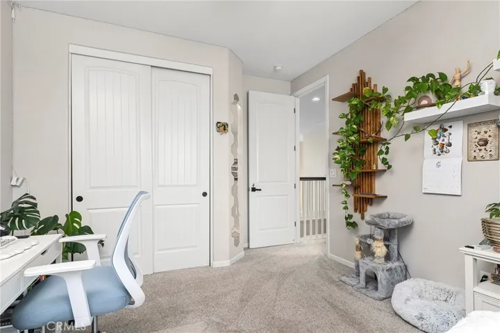 Custom closets in all closets