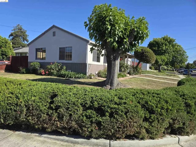 Front yard with mature trees, established shrubs, and a manicured lawn